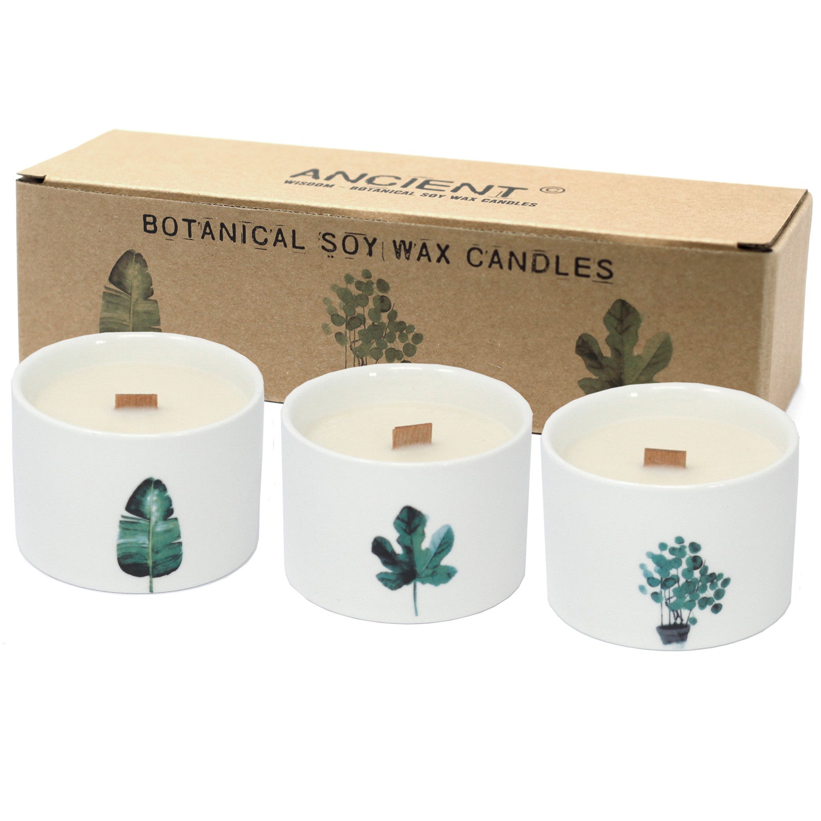 Botanical Candles