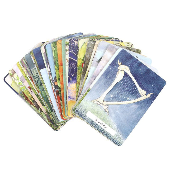 The Witches' Wisdom Tarot Cards by Phyllis Curott - Spread