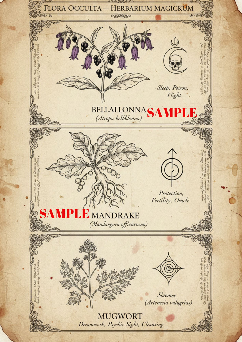 The Botanical Collection — 5 Print Digital Art Bundle - Print 4